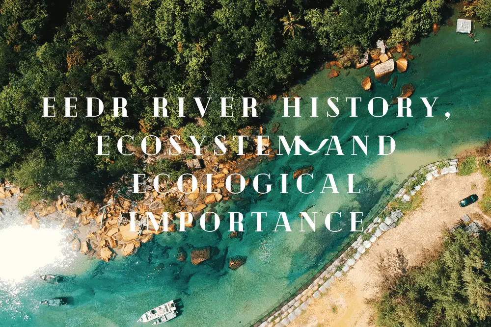 Eedr River History, Ecosystem and Ecological Importance